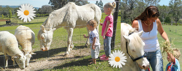 facilities01 facilities01