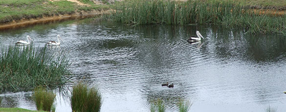 kalaru-lodge-07 kalaru-lodge-07